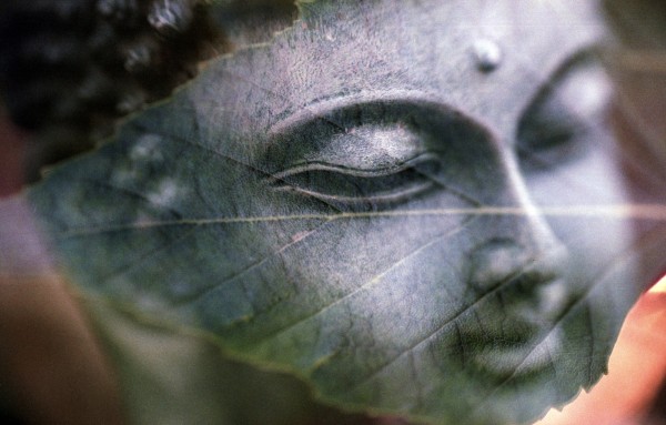 Nyanaponika Thera: Nauka o mysli jádrem Buddhova poselství